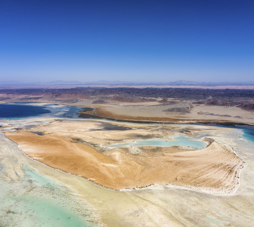 Red Sea and Hijaz hills and mountain bio-region