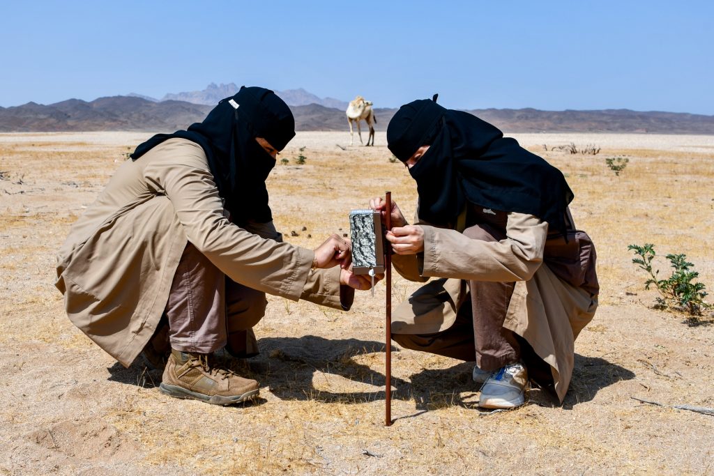 Rangers Suhaylah and Taghreed set up a camera trap for wildlife monitoring.