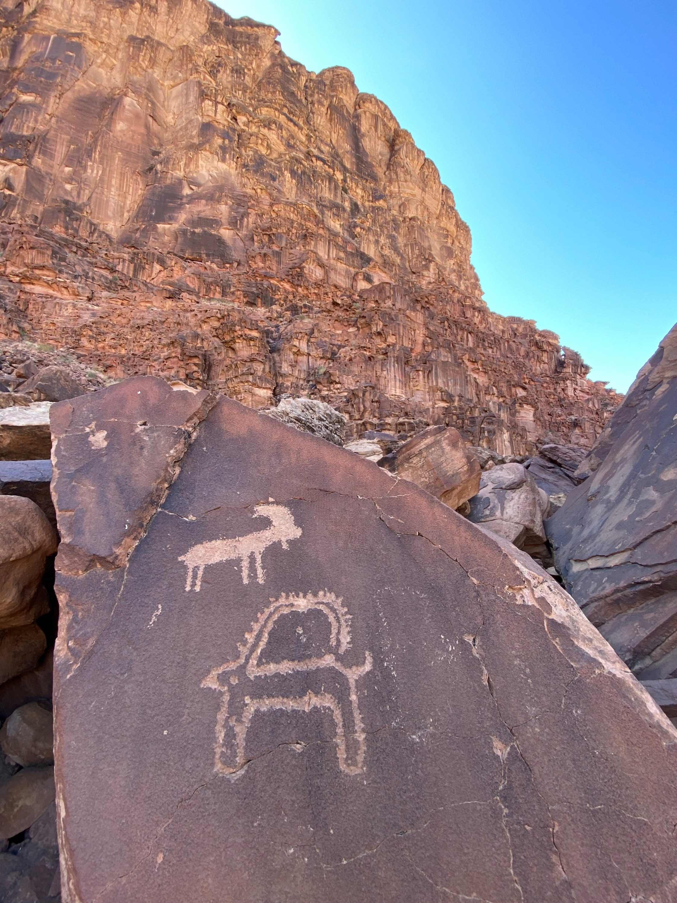 Image: Petroglyphs of ibex in Wadi al-Disah in Prince Mohammed bin Salman Royal Reserve